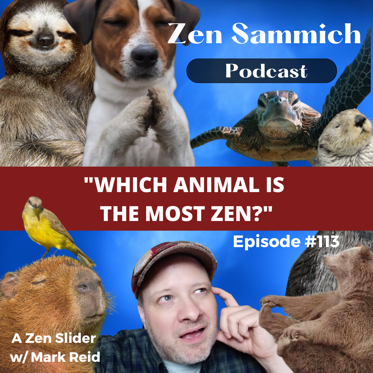 What animal is the most Zen