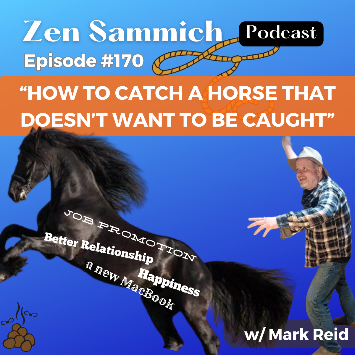 How To Catch A Horse That Doesn't Want To Be Caught Zen Sammich